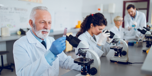 Histotechnologists examining slides and samples under microscopes in a lab.