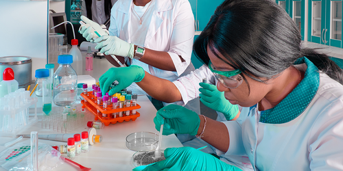 Clinical lab technicians handling blood samples and reagents at a workstation.