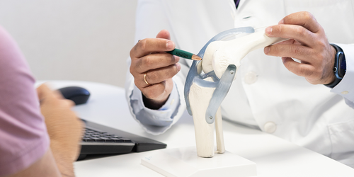 Orthopedic surgeon explaining a knee joint model to a patient.