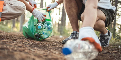 A group of teenagers working together to preserve the environment, contributing to sustainability and ecological conservation.